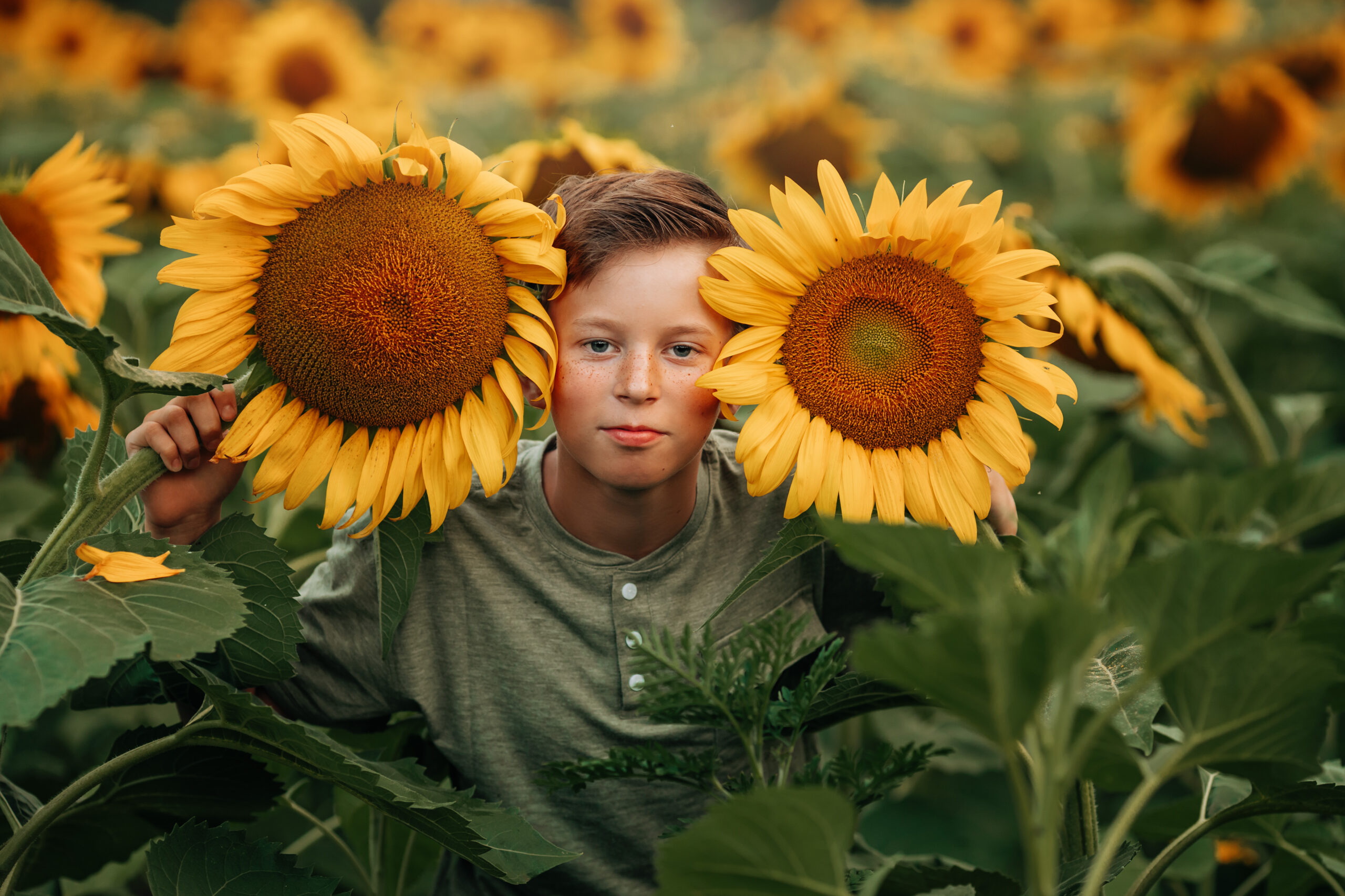 Portrait of a boy in sunflowers